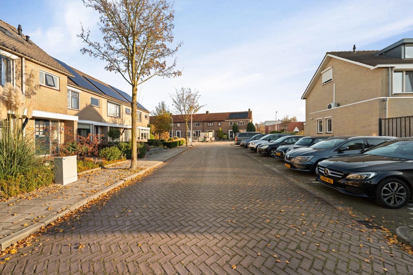 Foto 50 van Klaver 2