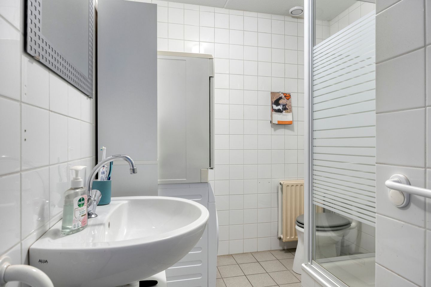 Foto 14 van Santvliet 9