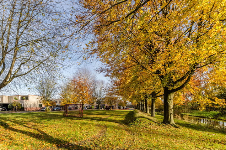 Photo 63 of Simon de Vliegerhage 125