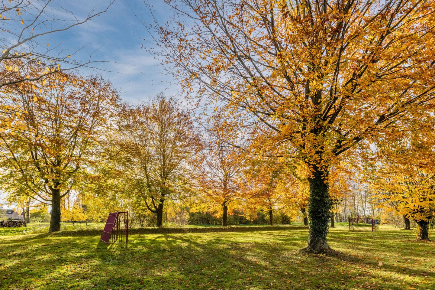 Foto 64 van Simon de Vliegerhage 125