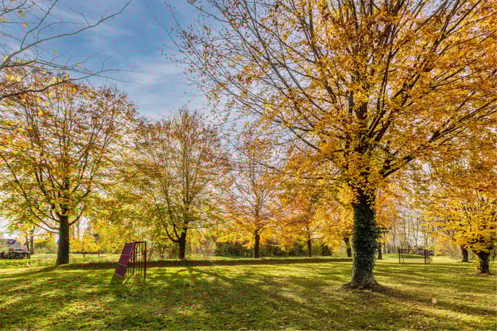 Photo 64 of Simon de Vliegerhage 125