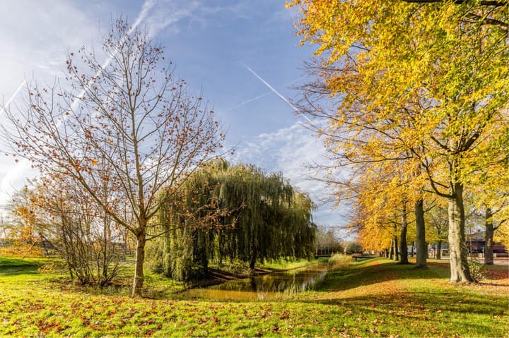 Photo 65 of Simon de Vliegerhage 125