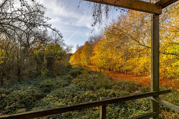 Foto 62 van Eikenlaan 62