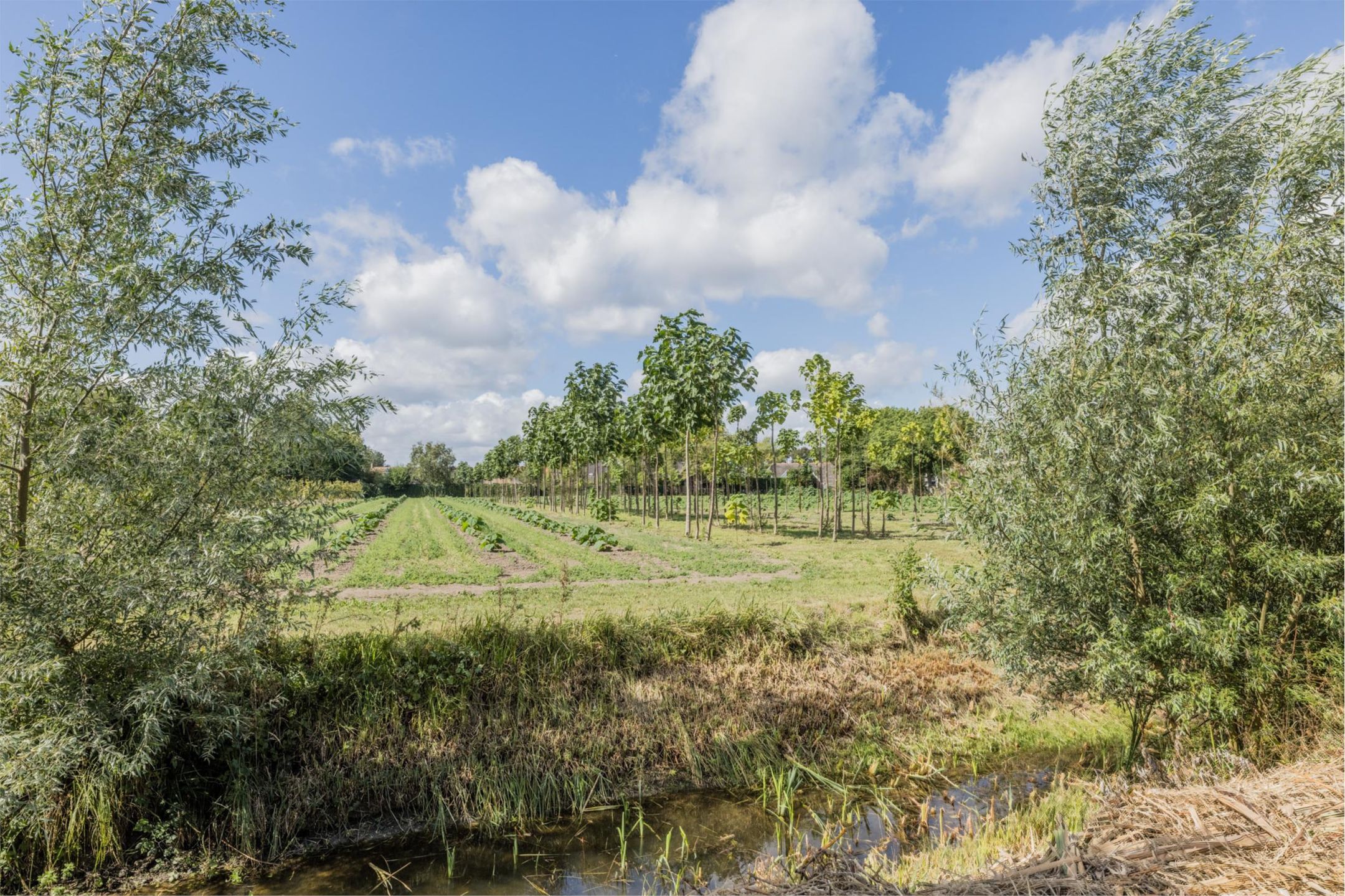 Foto 42 van Sterrenzand 6