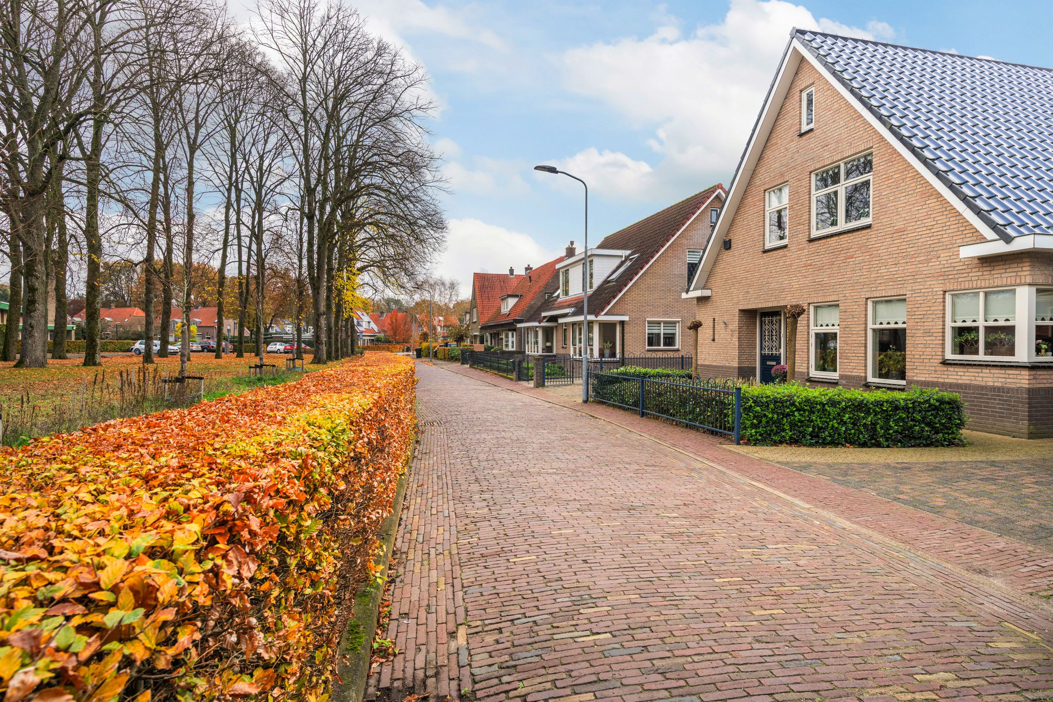 Photo 54 of Hogewal 10