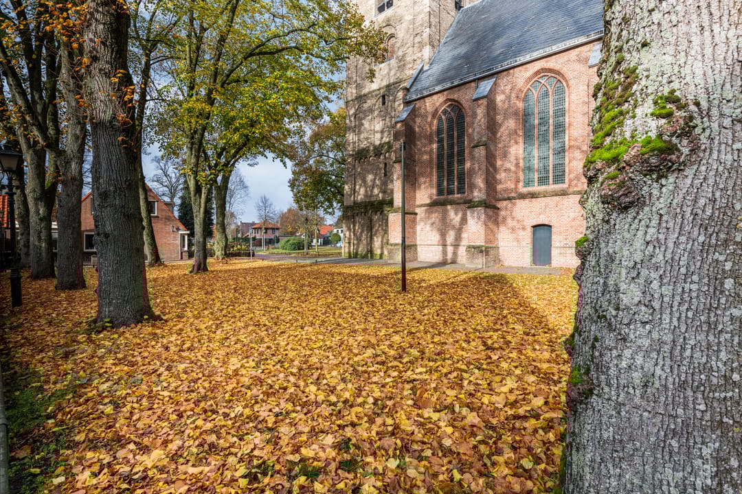 Photo 56 of Hogewal 10