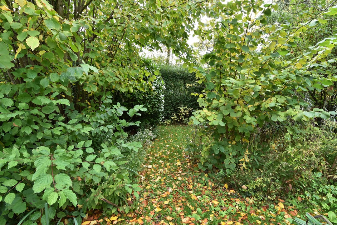 Foto 58 van Voorburgseweg 7