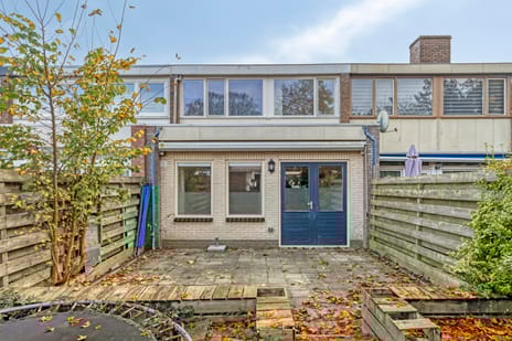 undefined main image