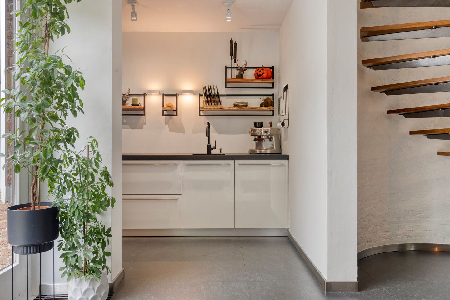 Foto 14 van Beemke 13