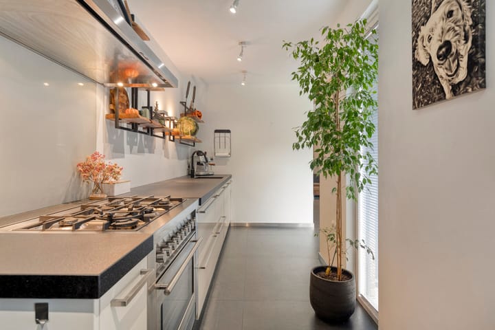 Foto 16 van Beemke 13