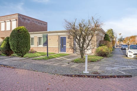 undefined main image