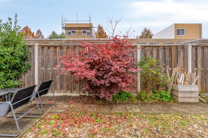 Photo 32 of Stamroospad 16