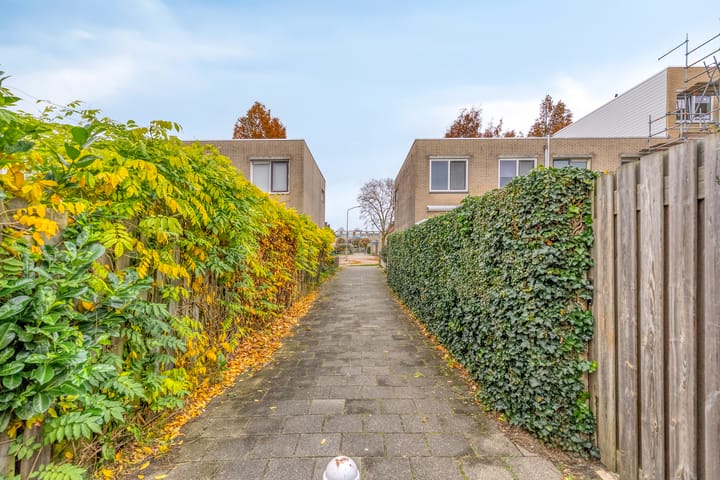 Photo 34 of Stamroospad 16