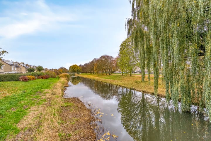 Photo 38 of Stamroospad 16