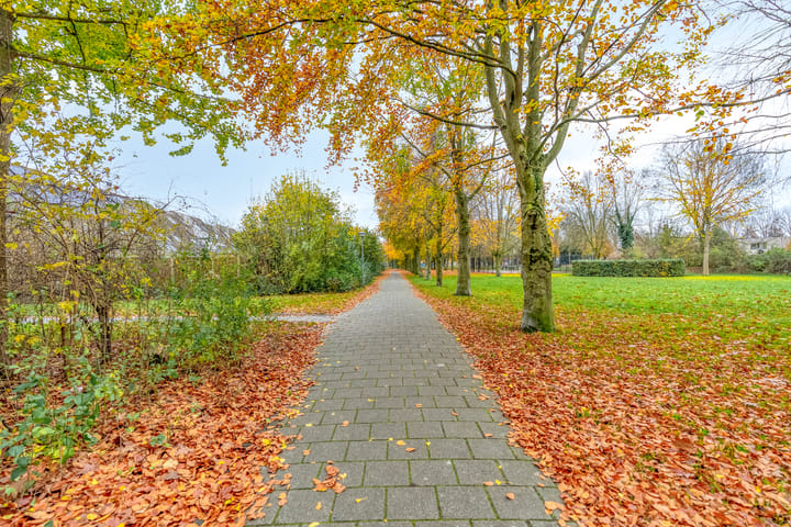 Photo 37 of Stamroospad 16