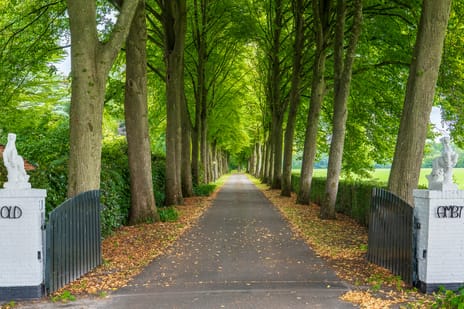 Stenendijk 8 tertiary image