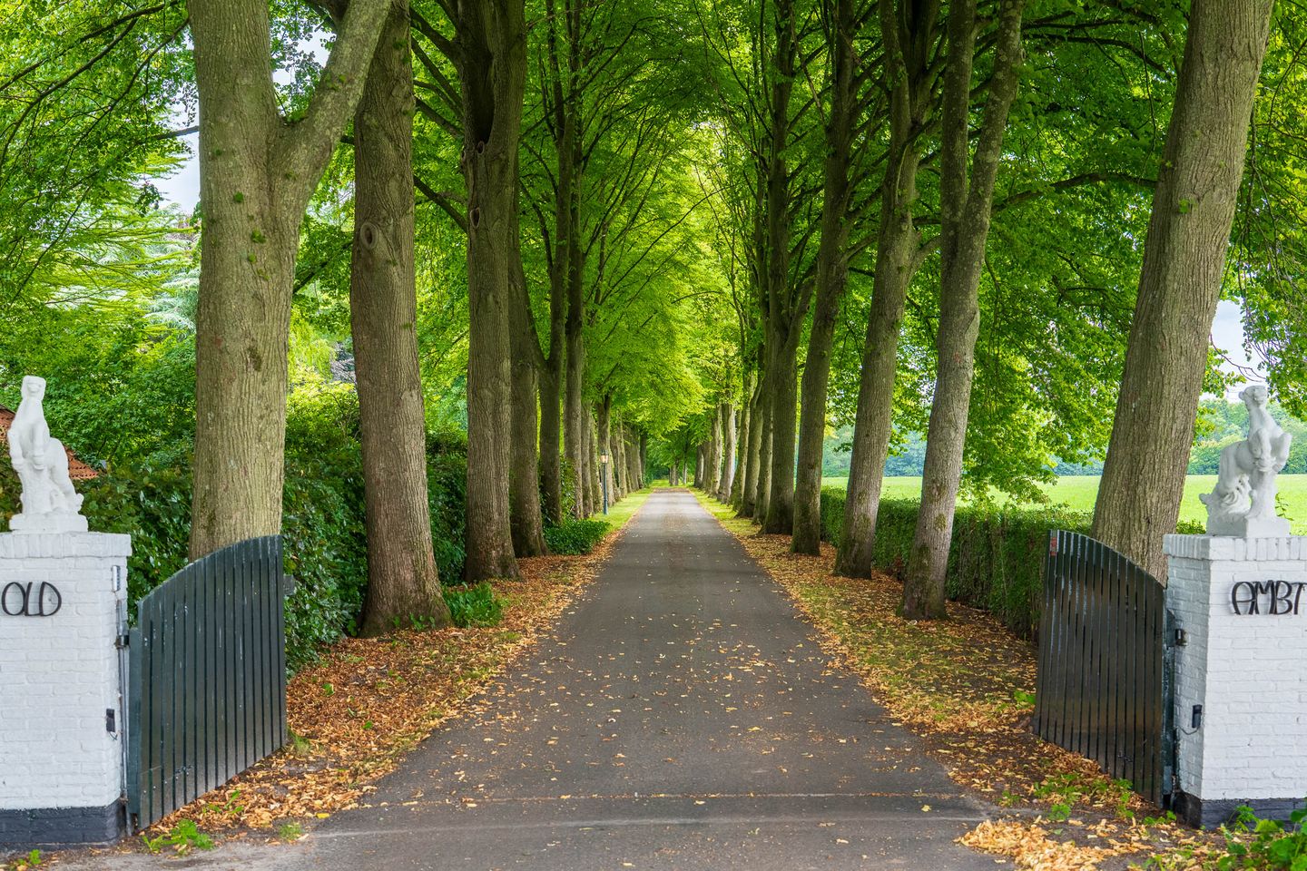 Stenendijk 8 - Beerzerveld - Afbeelding 4