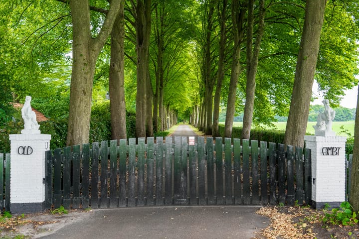 Foto 4 van Stenendijk 8