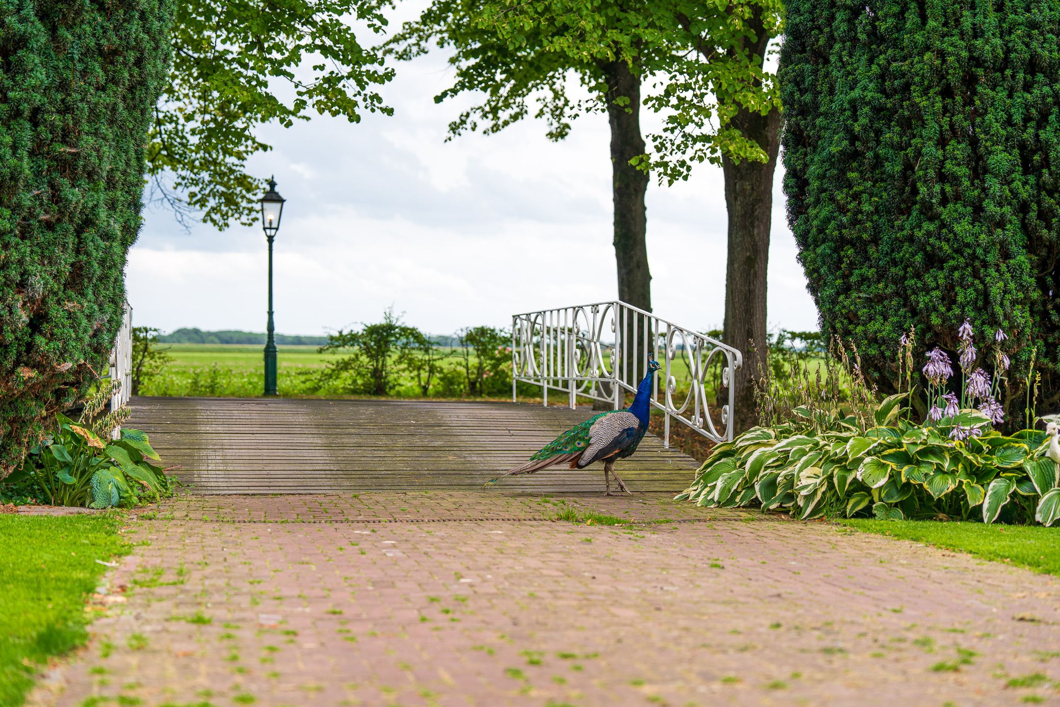 Foto 9 van Stenendijk 8