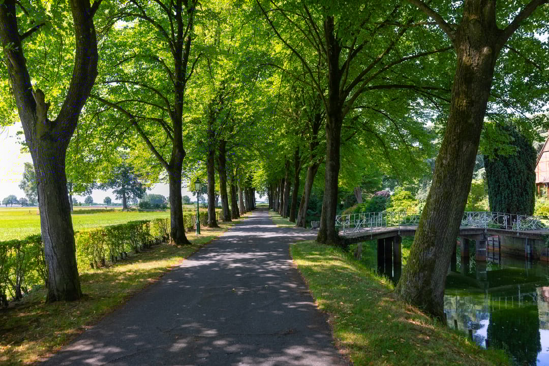 Foto 7 van Stenendijk 8