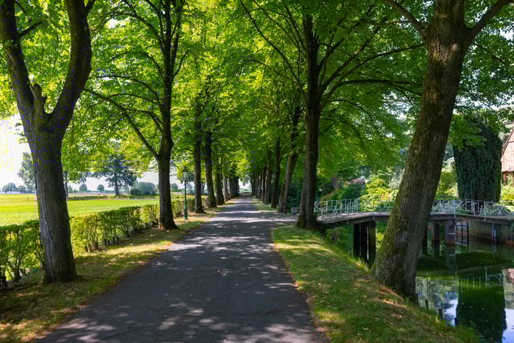 Foto 7 van Stenendijk 8