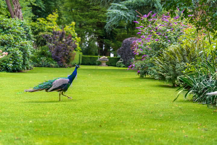 Foto 69 van Stenendijk 8