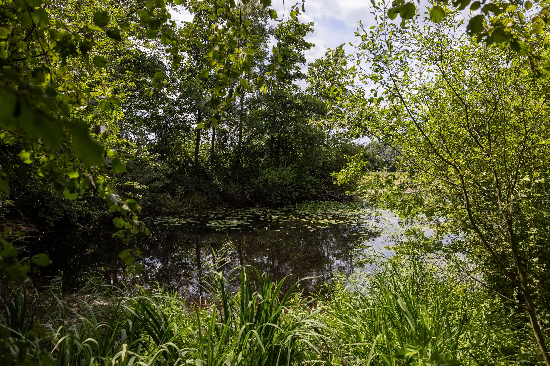 Foto 75 van Stenendijk 8