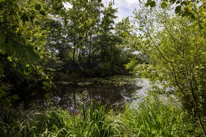 Foto 75 van Stenendijk 8