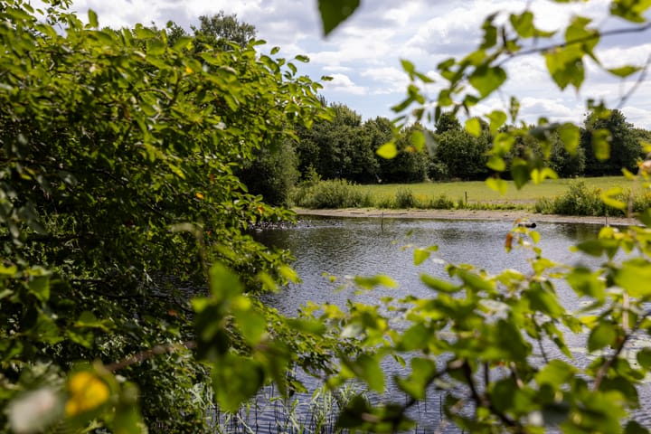 Foto 76 van Stenendijk 8