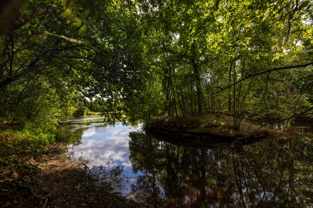 Foto 77 van Stenendijk 8