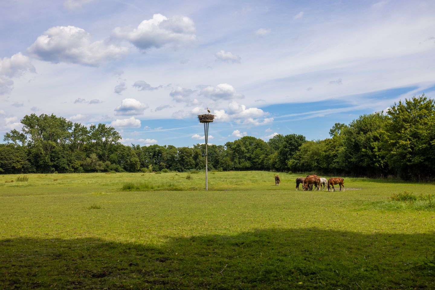 Foto 79 van Stenendijk 8