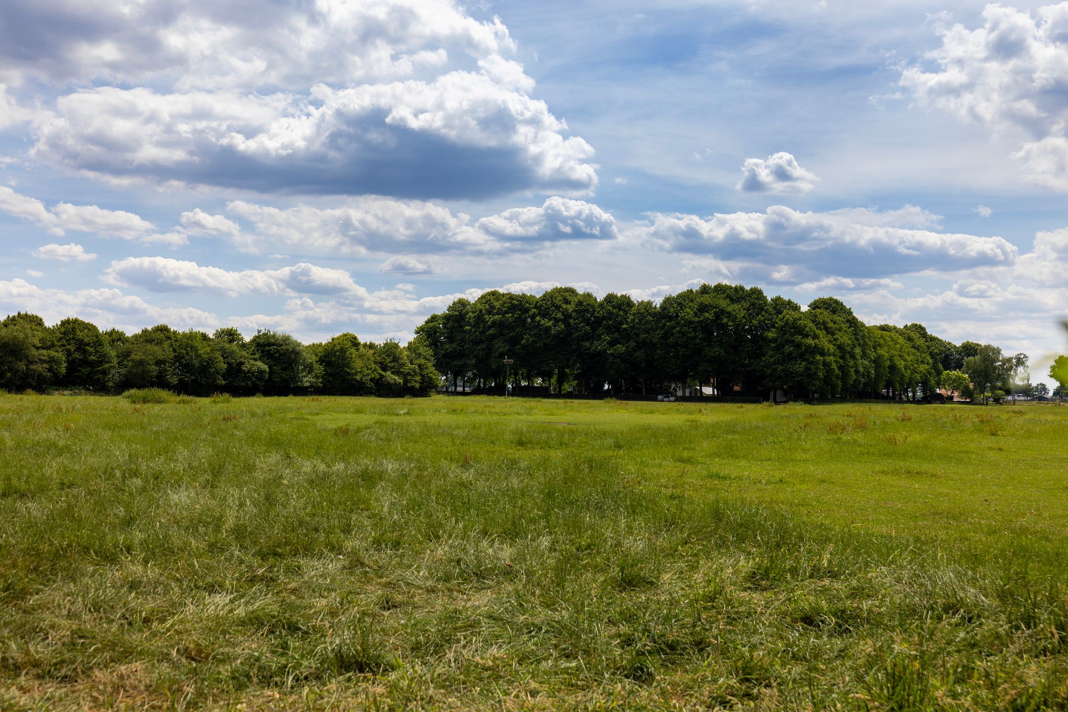 Foto 81 van Stenendijk 8