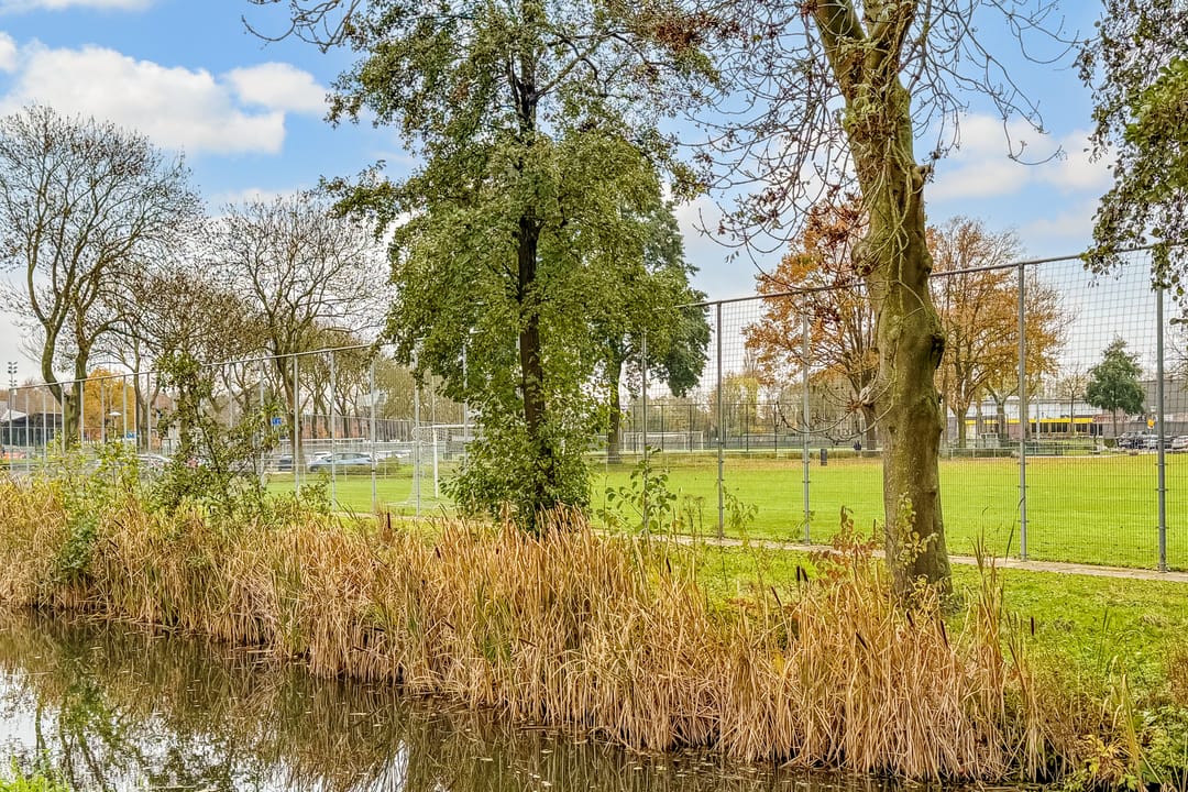 Photo 62 of Terentiuslaan 3