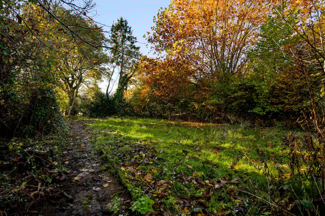 Foto 7 van Raadhuisplein 5