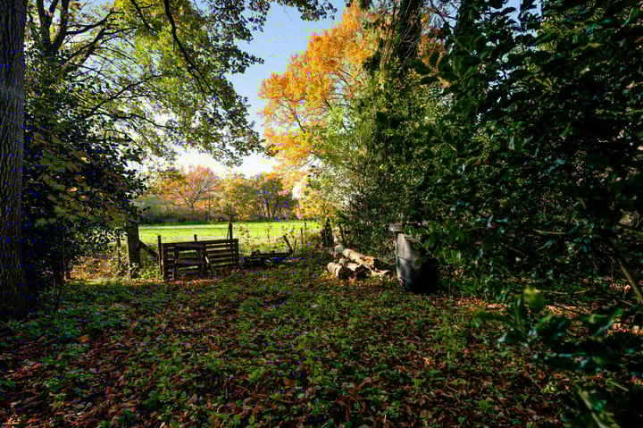 Photo 8 of Raadhuisplein 5