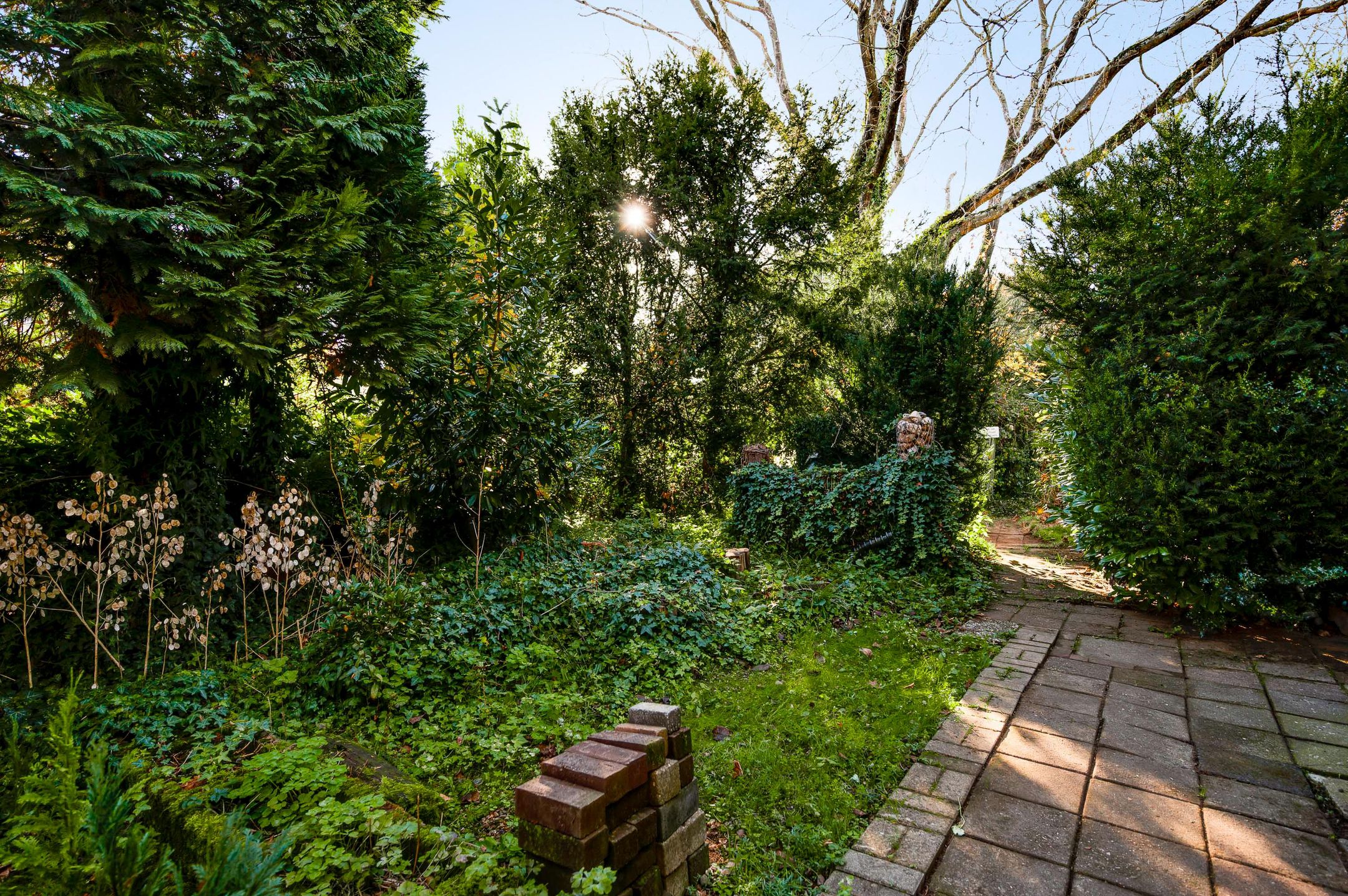 Foto 24 van Raadhuisplein 5