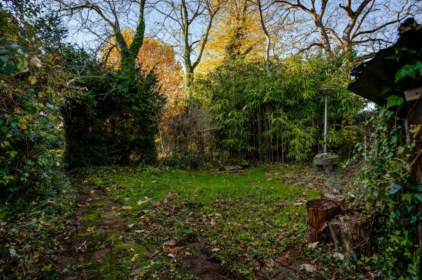 Foto 25 van Raadhuisplein 5