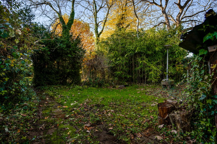 Photo 25 of Raadhuisplein 5