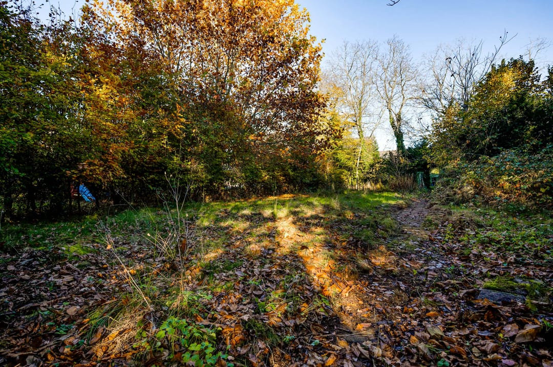 Foto 26 van Raadhuisplein 5