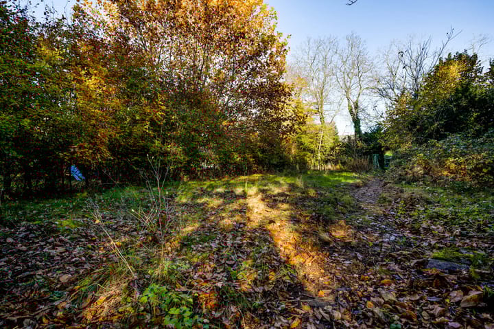 Photo 26 of Raadhuisplein 5