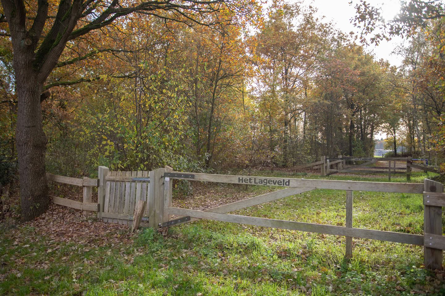 Photo 44 of Boomsweg 1-Z130