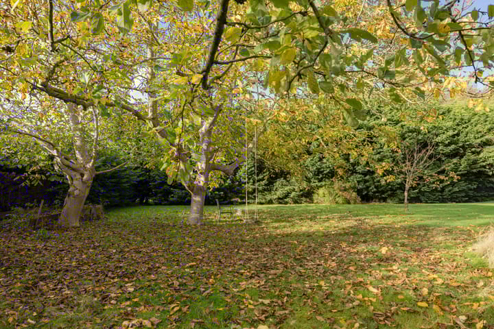 Foto 7 van Lageweg 1a