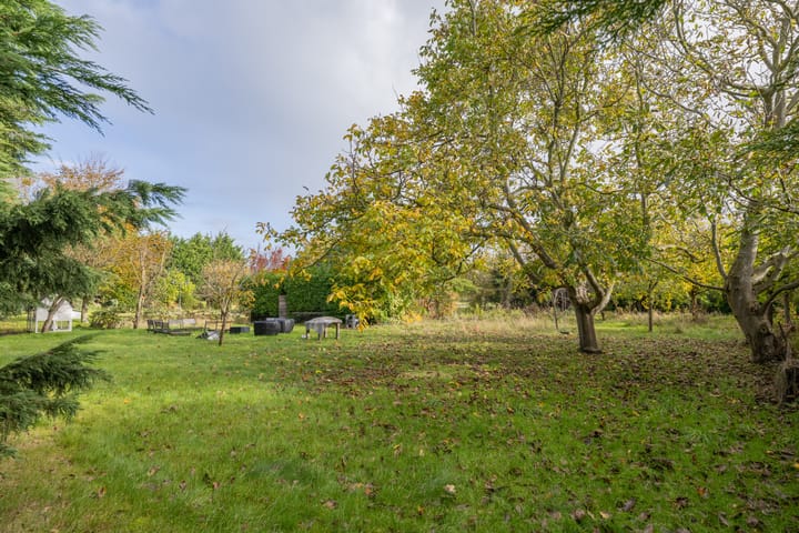 Foto 8 van Lageweg 1a