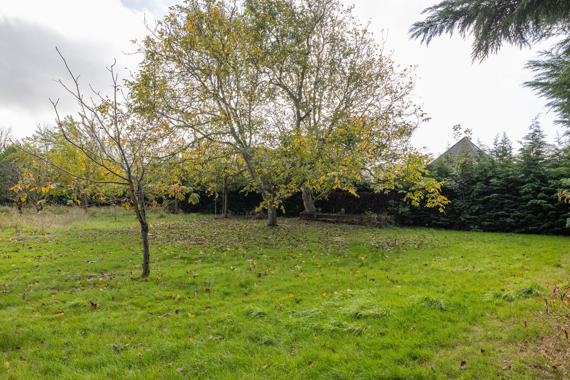 Photo 9 of Lageweg 1a