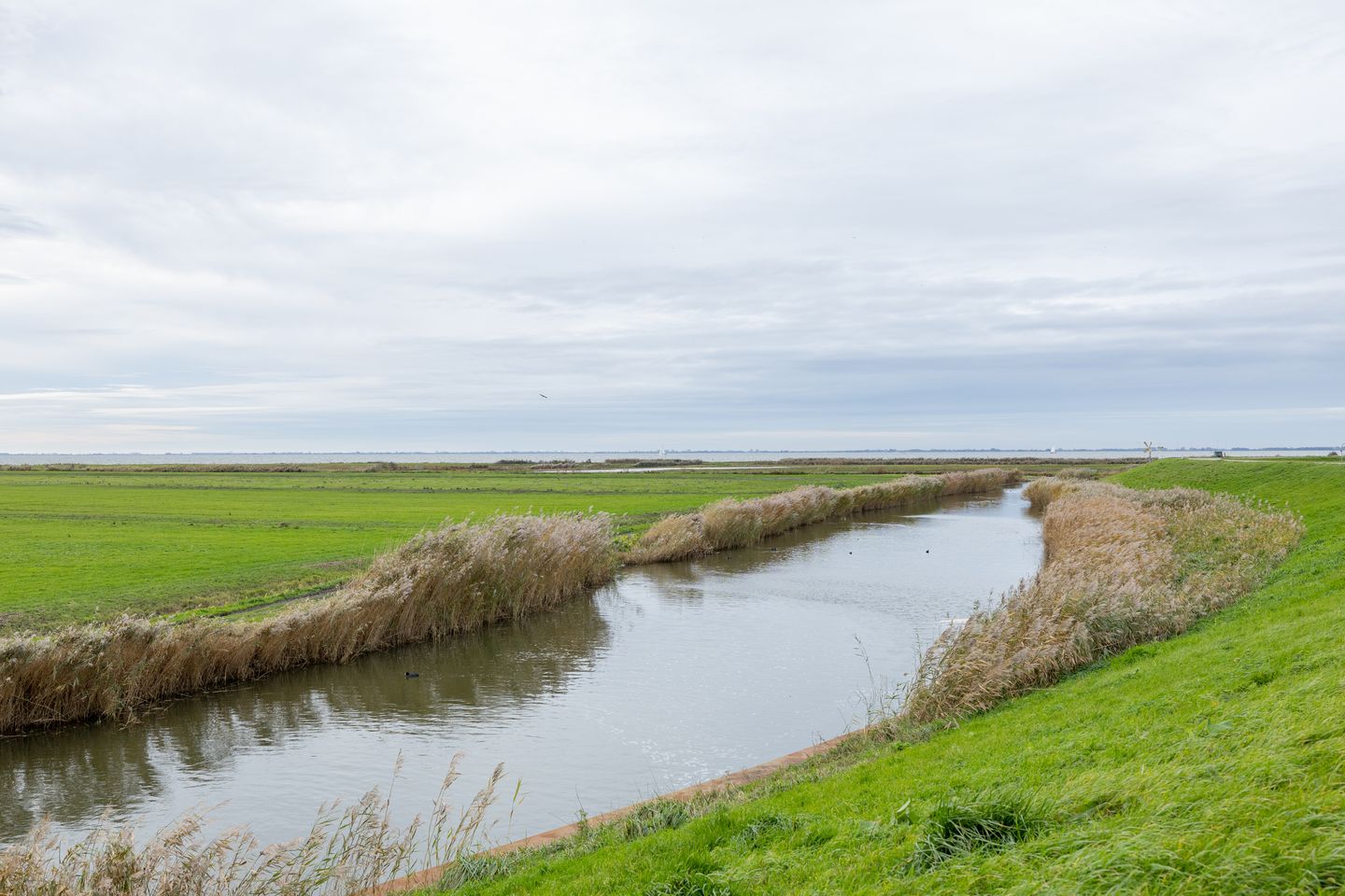 Photo 14 of Lageweg 1a