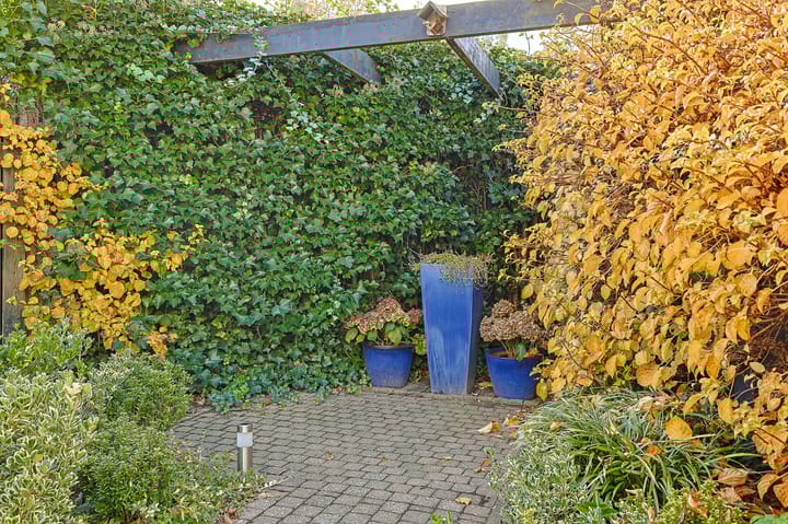 Foto 33 van Ambonplein 57