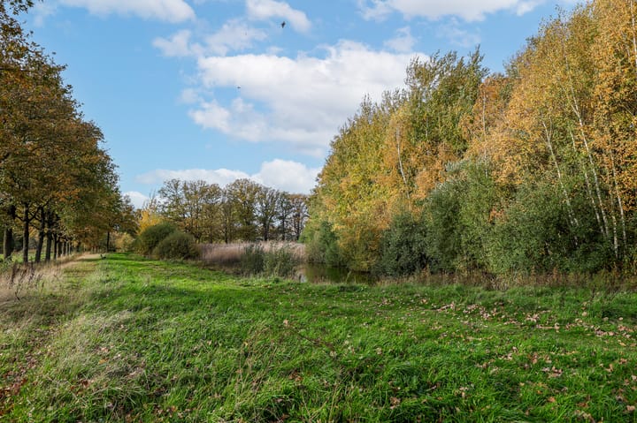 Foto 58 van Ambonplein 57