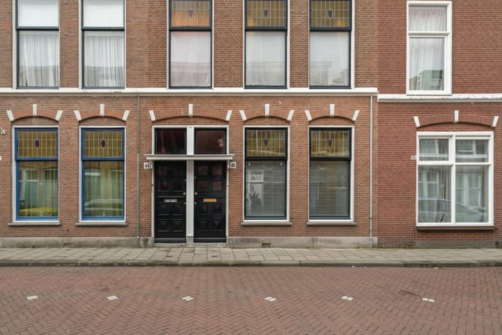 Willem Beukelszoonstraat 46