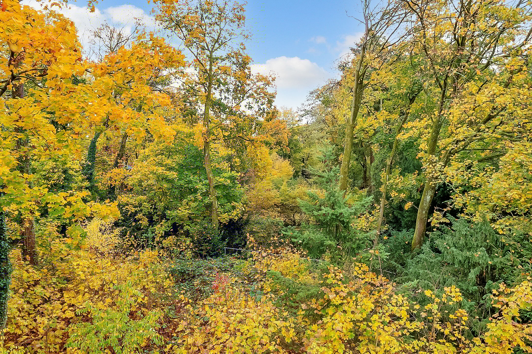 Foto 30 van Verlengde Slotlaan 32-20