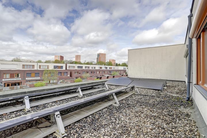 Foto 37 van Grasvogel 17